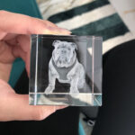 Clear crystal cube with a grayscale bulldog figure wearing a harness, held by a hand.